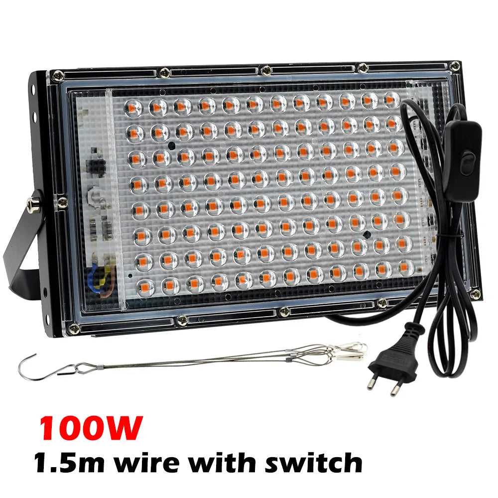 4.8434E+13