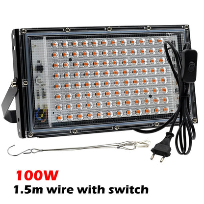4.8434E+13