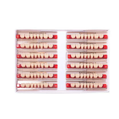 16/12 Set Dental Denture Teeth Model Kit, Upper & Lower Anterior Synthetic Polymer Teeth A2 A3 for Dental Education & Training