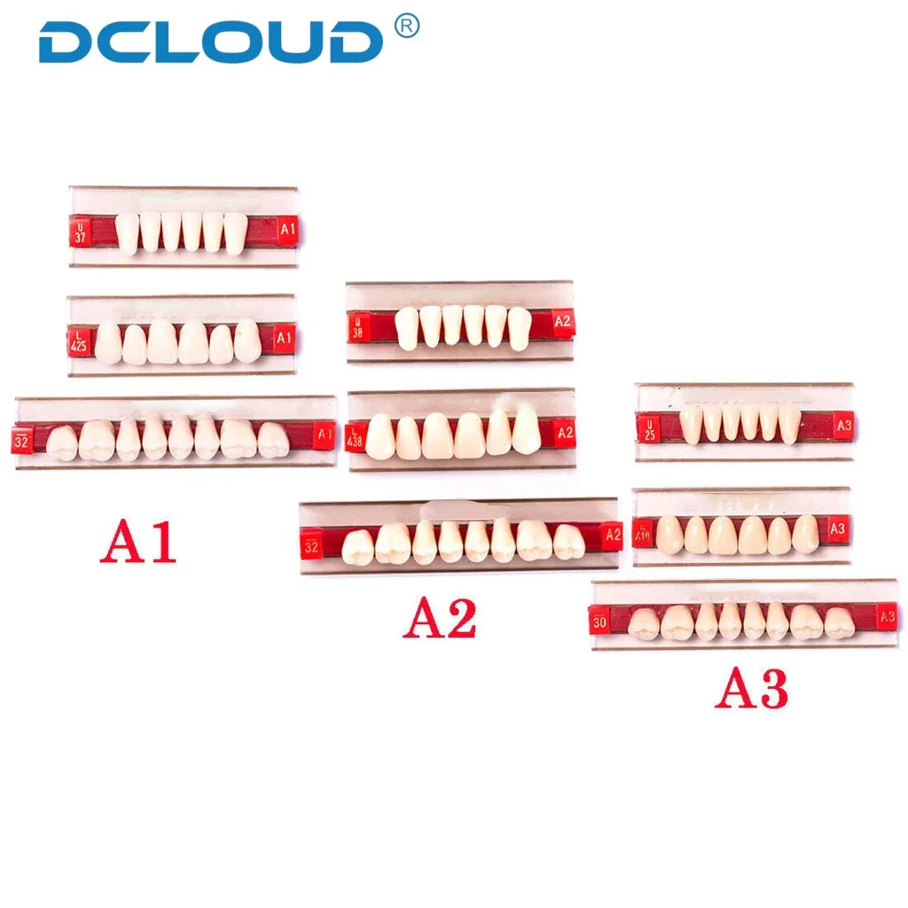 96PCS Dental Resin Denture Teeth Set – Upper & Lower Full Acrylic False Teeth Model (A2/A3 Shades, Anterior & Posterior)