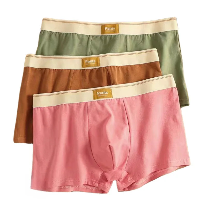 3pcs Men Panties Cotton BoxerShorts Man Underwear Mens Boxers Breathable U Convex Male Underpants Sexy Trunks