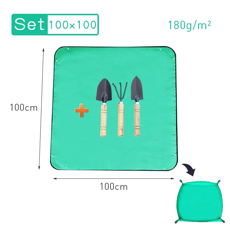 5.03536E+13