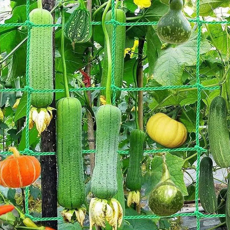 Heavy Duty Plant Trellis Netting - Thick Nylon Climbing Support Mesh for Cucumber, Tomato & Grape Gardens