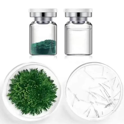 10pcs Sponge Microcrystal Freeze-Dried Powder Collagen Regeneration Sponges – Natural Biological Extract for Skin Cell Renewal