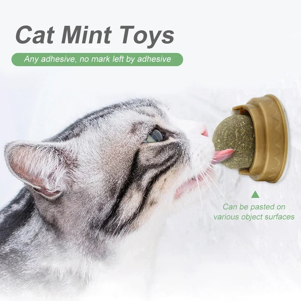 Pet Catnip Toys – Edible Catnip Balls for Healthy Teeth and Stomach, 1-10 Pack, Safe and Fun Chasing Game for Cats