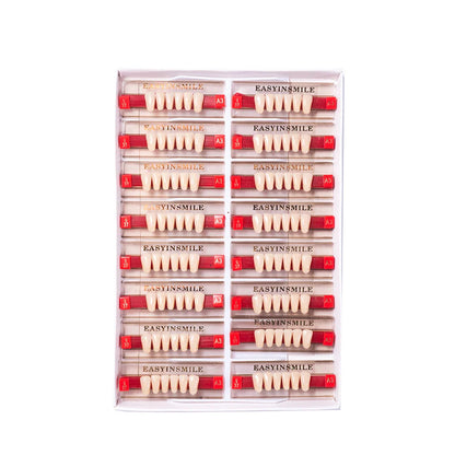16/12 Set Dental Denture Teeth Model Kit, Upper & Lower Anterior Synthetic Polymer Teeth A2 A3 for Dental Education & Training
