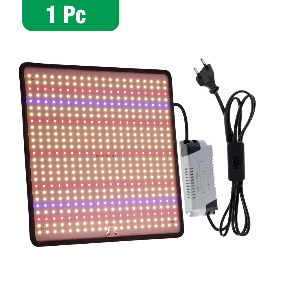 4.85824E+13