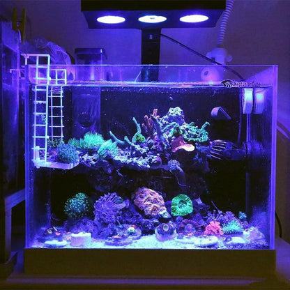 Spectra Nano 029 Aquarium LED Light - 30W Saltwater Reef Lamp with Touch Control for Coral & Fish Tank Lighting