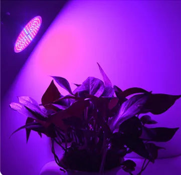 Phyto Lamp Full Spectrum LED Grow Light — E27 Plant Lamp for Indoor Seedlings, Flowers & Grow Tent Box