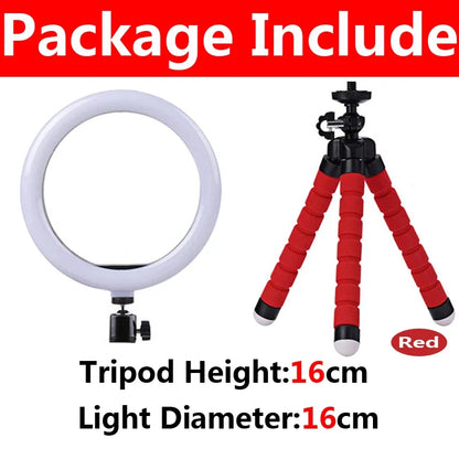 10 Inch LED Selfie Ring Light - Dimmable Photography Fill Lamp With Mini Tripod for Phone Live Video Studio