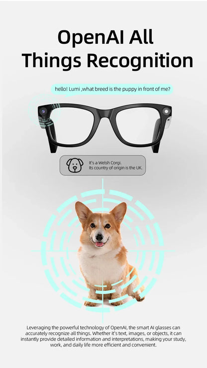 AI Smart Glasses with HD Anti-Shake Camera — Video Recording, Voice Call, Noise Reduction, Wireless Bluetooth Headset Goggles