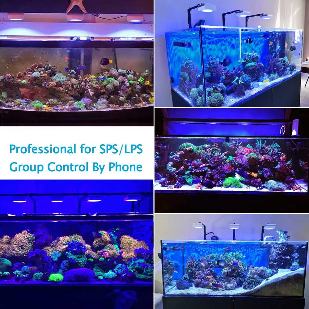 PopBloom RL90 WiFi LED Aquarium Light – Full Spectrum Reef Lamp for Saltwater Coral & Marine Tank Growth