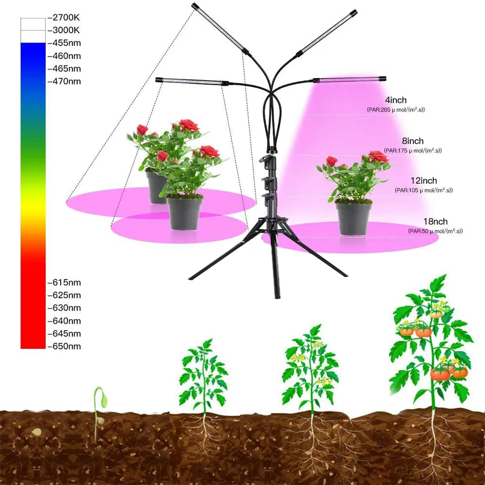 USB LED Plant Growth Lamp with Floor Stand — Full-Spectrum Hydroponic Light, Dimmable Timer for Indoor Flowers & Plants