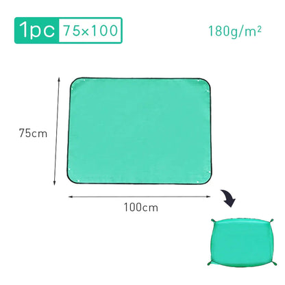 5.03536E+13