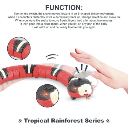 Smart Sensing Cat Toys - Interactive Automatic Electronic Snake Teaser, USB Rechargeable Indoor Play Kit for Cats and Kittens