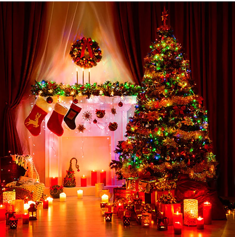 2025 LED Christmas & New Year Fairy String Lights — White/Warm/RGB Waterproof Party & Wedding Decoration