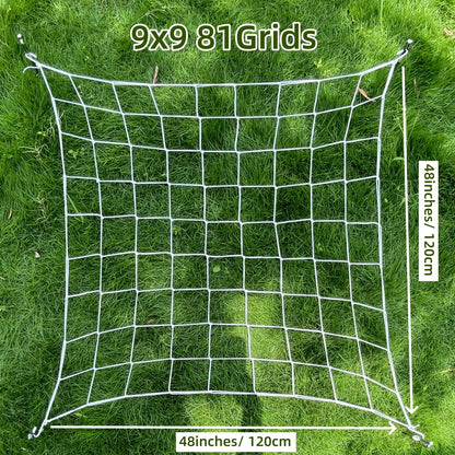 5.03536E+13