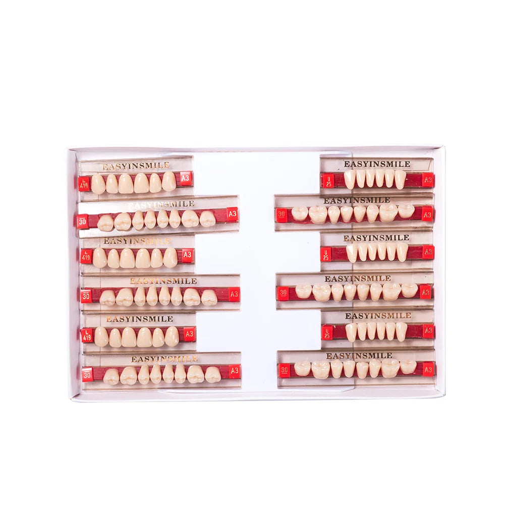 16/12 Set Dental Denture Teeth Model Kit, Upper & Lower Anterior Synthetic Polymer Teeth A2 A3 for Dental Education & Training