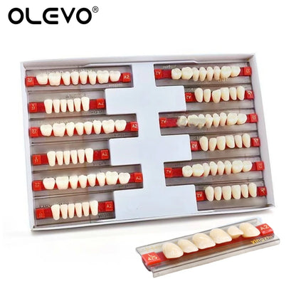 84PCS Dental Acrylic Resin Denture Teeth Set – Full Mouth Upper & Lower False Teeth Model (A1/A2/A3, S/M/L Sizes)