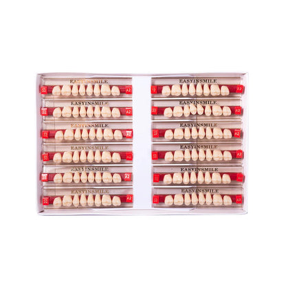 16/12 Set Dental Denture Teeth Model Kit, Upper & Lower Anterior Synthetic Polymer Teeth A2 A3 for Dental Education & Training