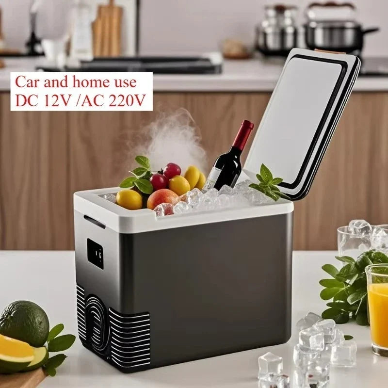 10L Portable Refrigerator - 12V Car & 220V Home Electric Cooler and Warmer Freezer