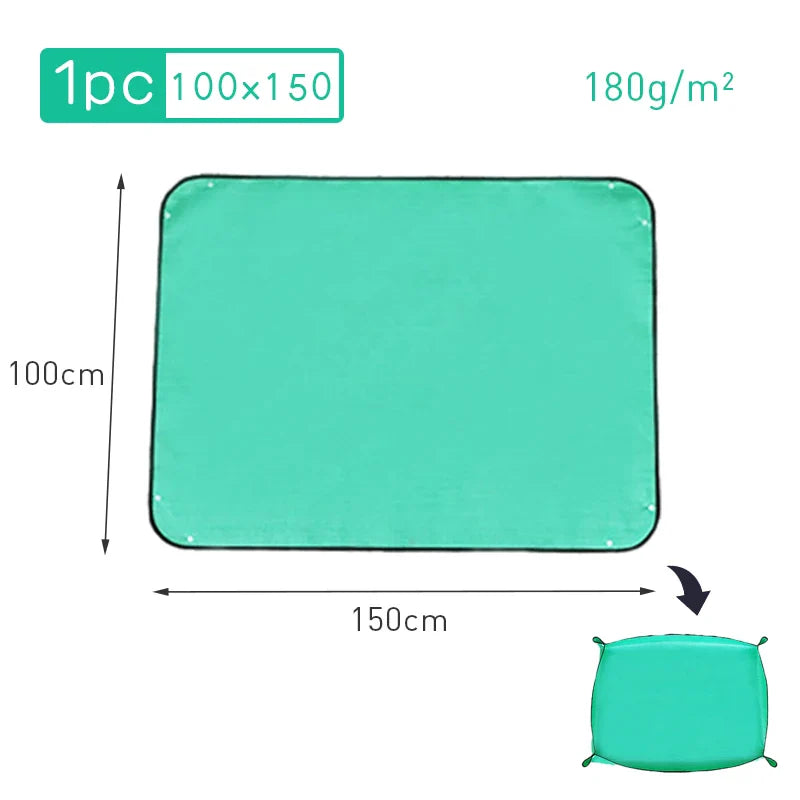 5.03536E+13