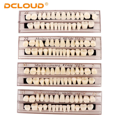 15 Pack Resin Denture Teeth Set – Polymer Dental Training Models for Education, Research & Laboratory Practice