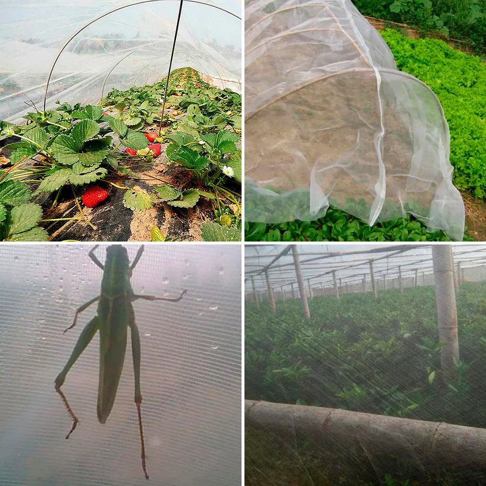 Garden Vegetable Insect Protection Net – 60 Mesh, Pest & Bird Control Cover for Plants, Vegetables, and Fruit
