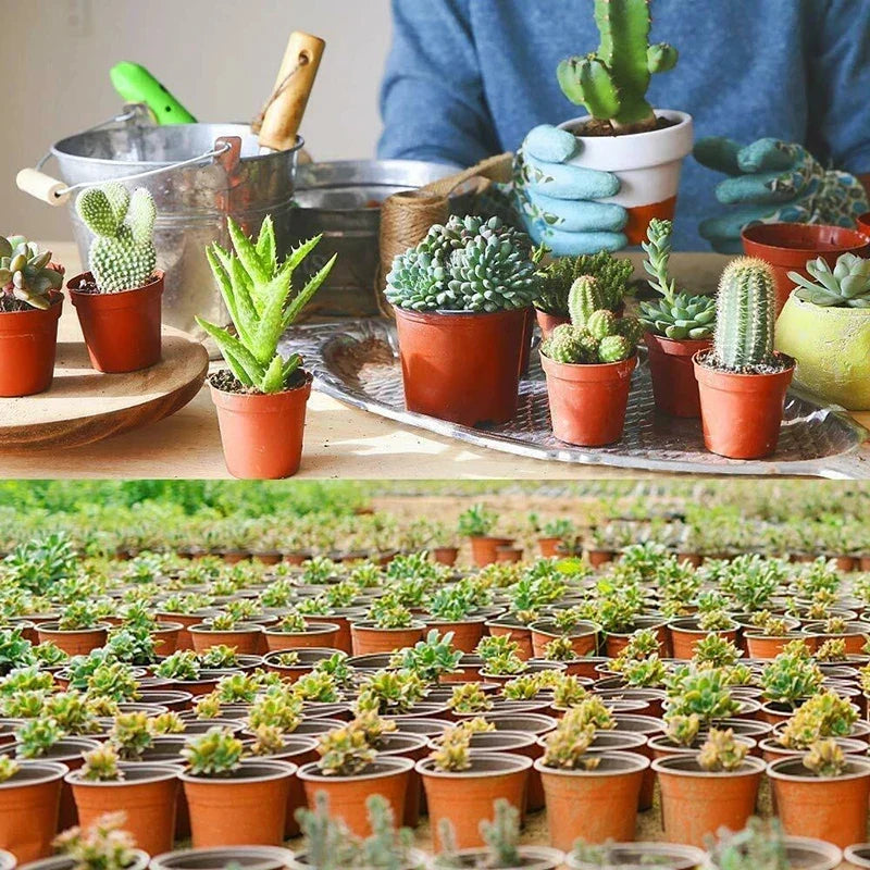 75Pcs Flexible Plant Nursery Pots | Plastic Flower Containers for Succulents, Seedlings, and Cuttings
