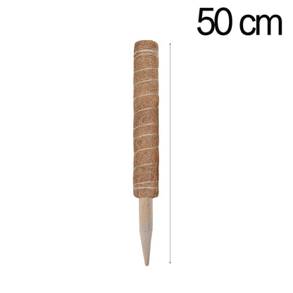 4.8555E+13