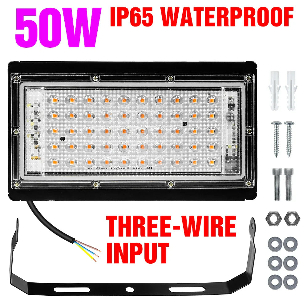 4.85824E+13