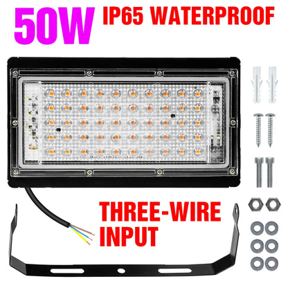 4.85824E+13