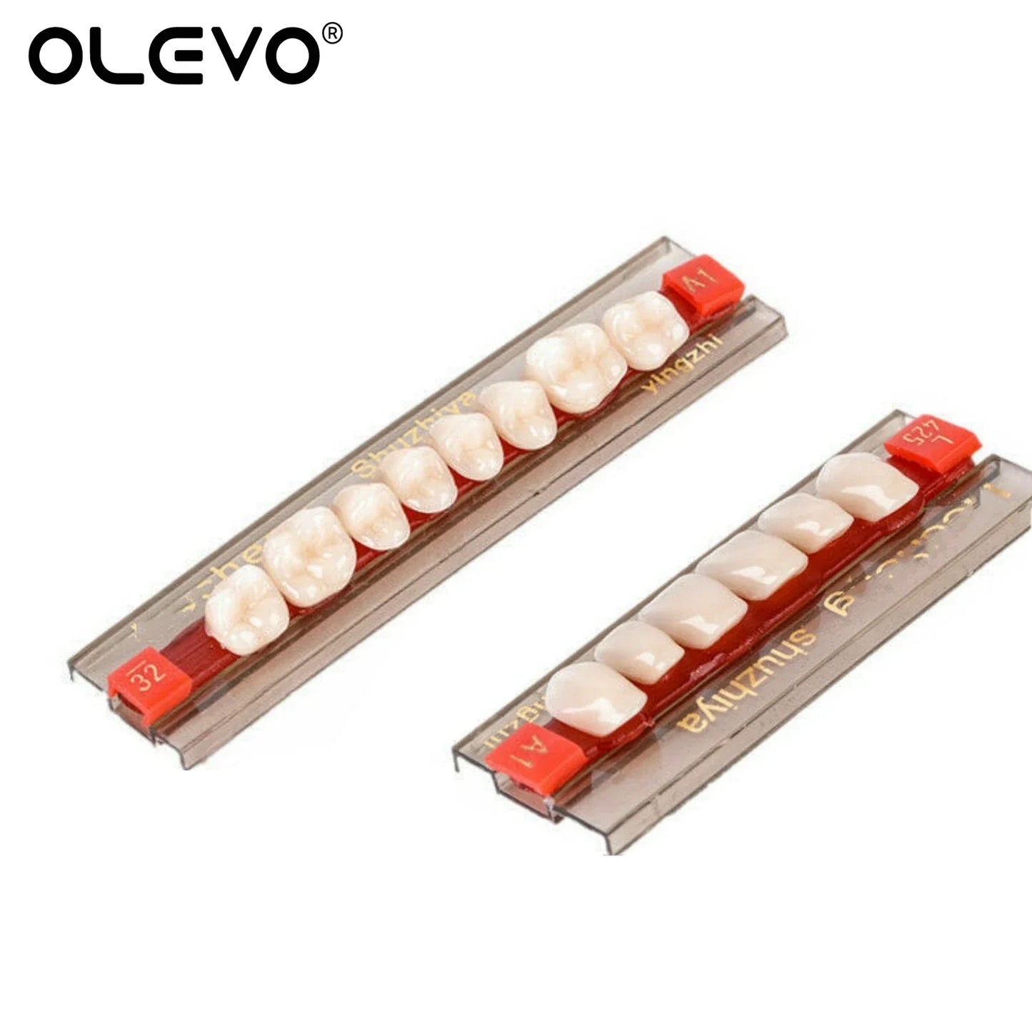 84PCS Dental Acrylic Resin Denture Teeth Set – Full Mouth Upper & Lower False Teeth Model (A1/A2/A3, S/M/L Sizes)