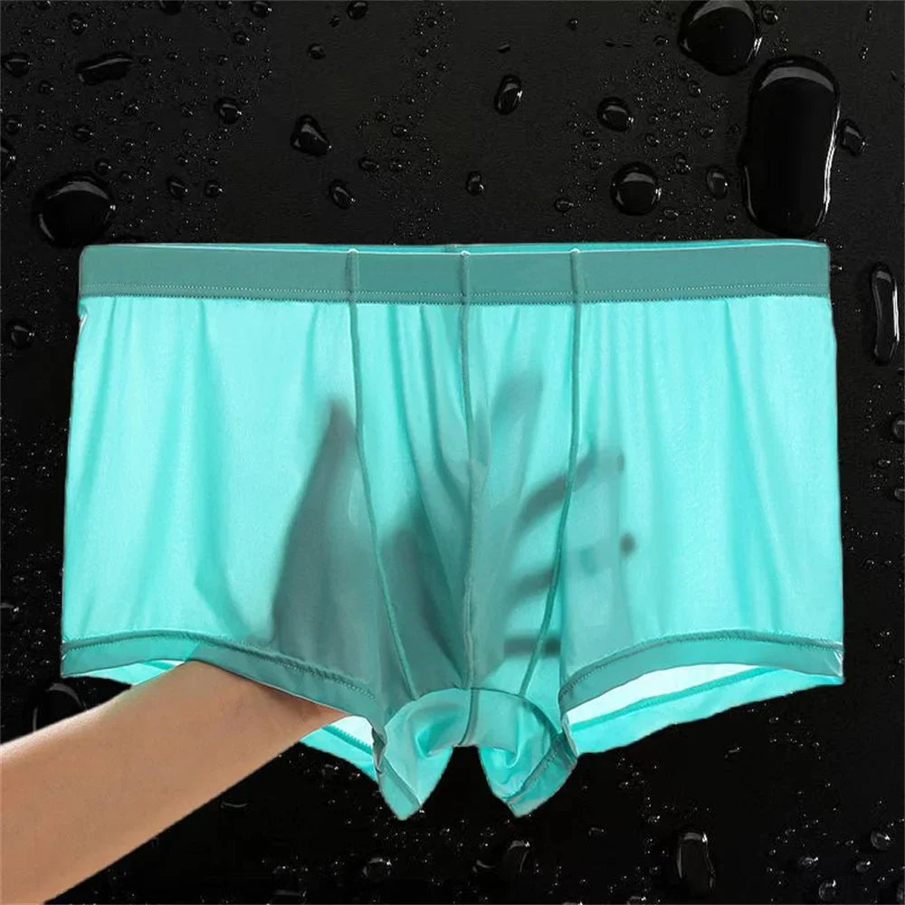 Ultra Thin Ice Silk Boxers - Semi-Transparent Seamless Men’s Trunk Underwear Plus Size
