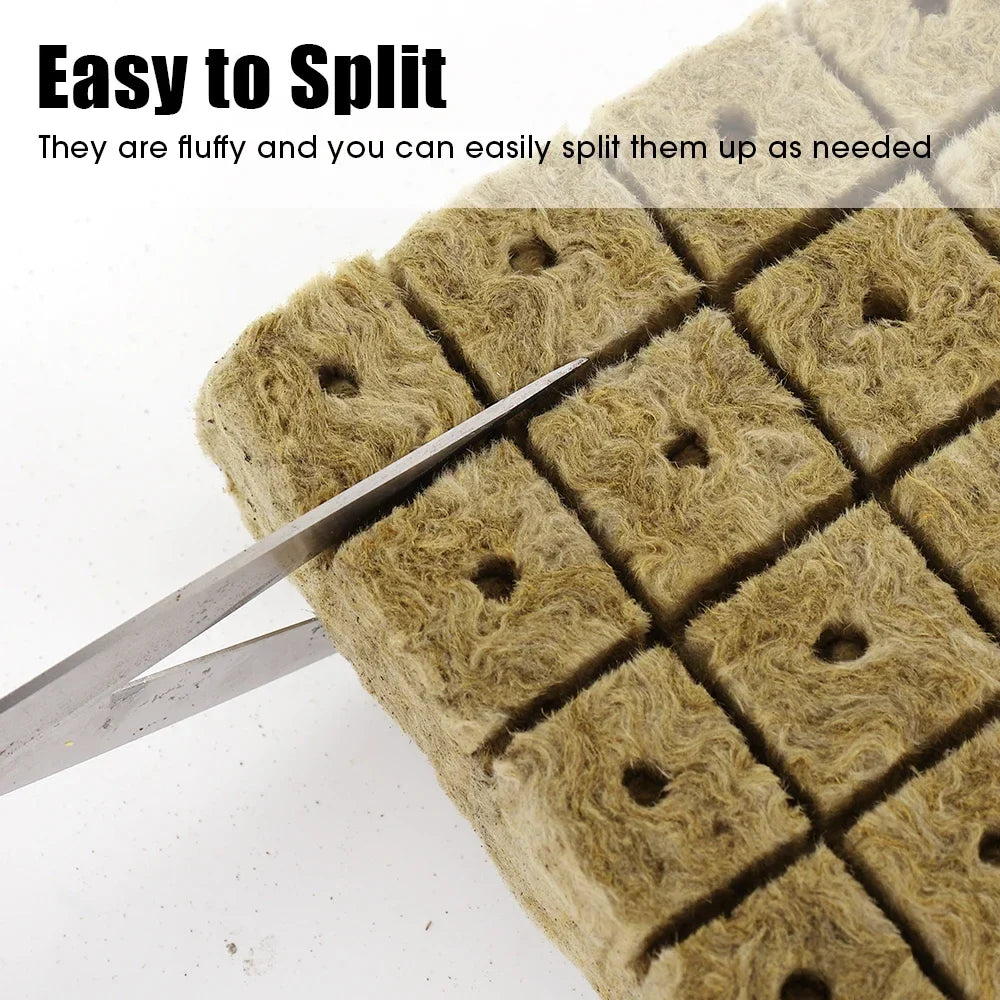 Stonewool Hydroponic Grow Cubes — 500/50x Seedling Blocks for Garden Germination & Water Cultivation