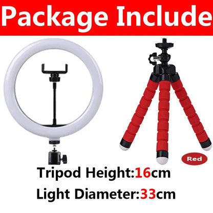 10 Inch LED Selfie Ring Light - Dimmable Photography Fill Lamp With Mini Tripod for Phone Live Video Studio