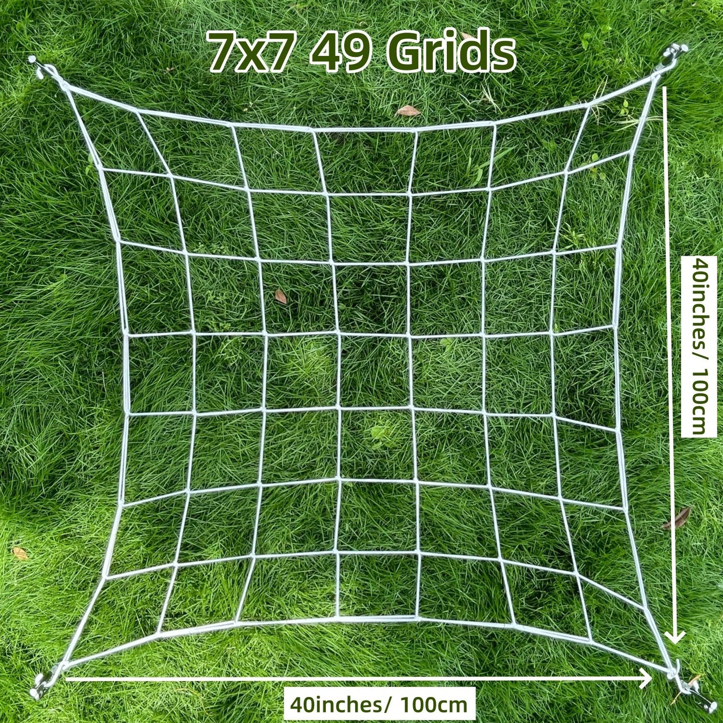 5.03536E+13