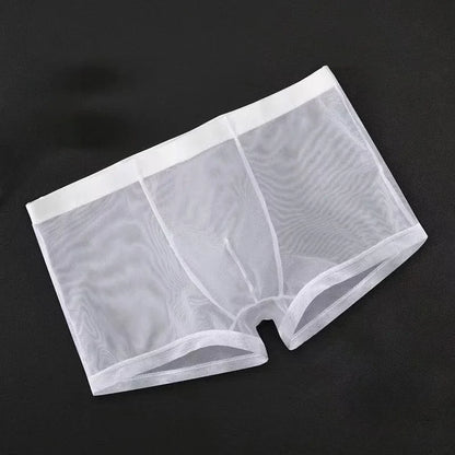 Transparent Ice Silk Men's Boxers - Low Waist See-Through Bulge Underwear