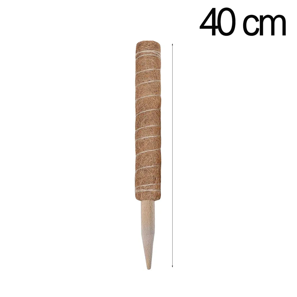 4.8555E+13