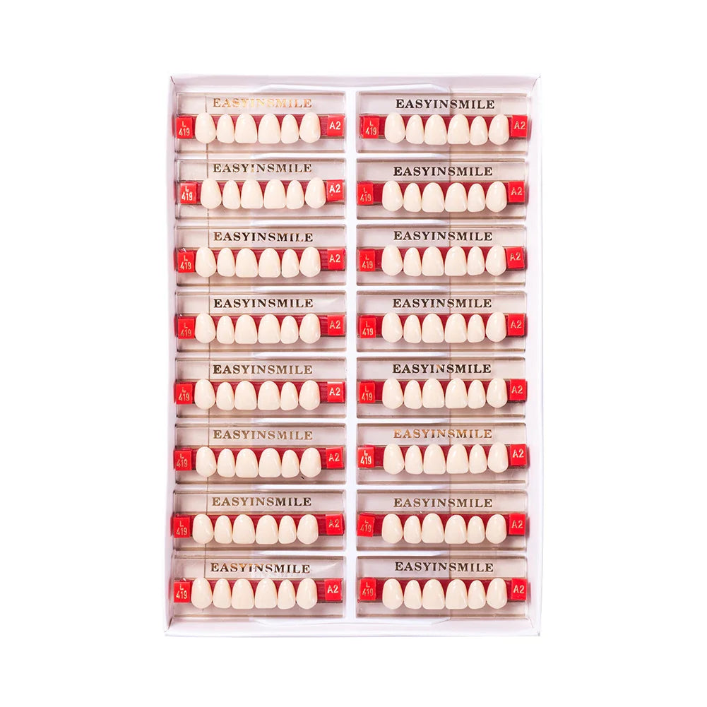 16/12 Set Dental Denture Teeth Model Kit, Upper & Lower Anterior Synthetic Polymer Teeth A2 A3 for Dental Education & Training