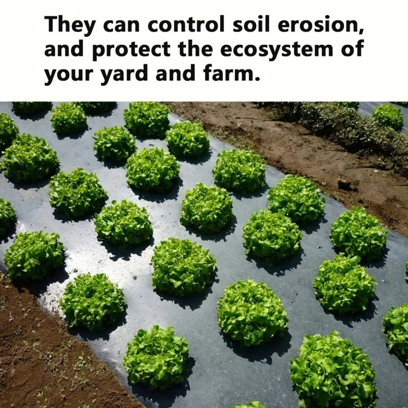 Black Plastic Mulch Film — High-Quality Vegetable Growing Film for Greenhouses & Plant Protection