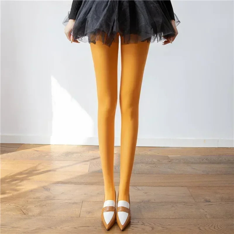 Talenza Women's Tights – Slim Stockings, Super Elastic Leggings, Large Size, Sexy Pantyhose for Spring, Autumn, Winter