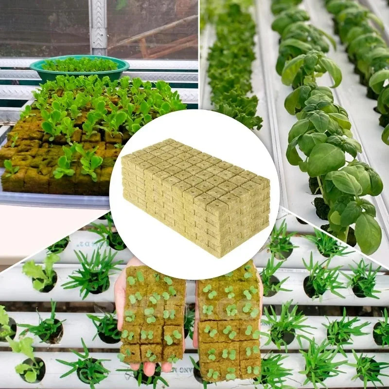 Seedling Grow Cubes — Stonewool Soilless Hydroponic Blocks for Vegetable & Plant Growing