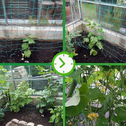 Heavy Duty Garden Plant Trellis Netting – Polyester Square Mesh Support for Climbing Plants, Vegetables & Vines