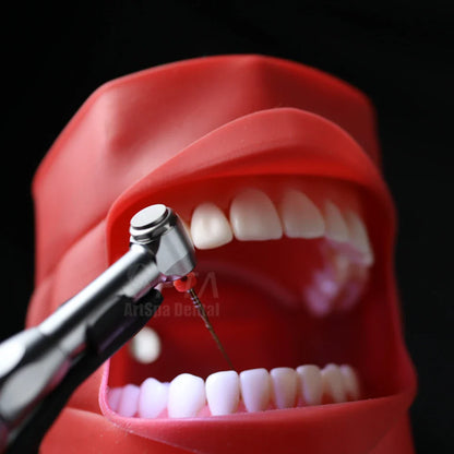 SPTA 16:1 Contra Angle Low Speed Turbine Handpiece – Reciprocating Root Canal File for Endodontic Treatment