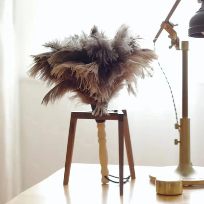Ostrich Feather Duster - Wooden Handle Anti-Static Cleaning Brush for Home Dust Removal
