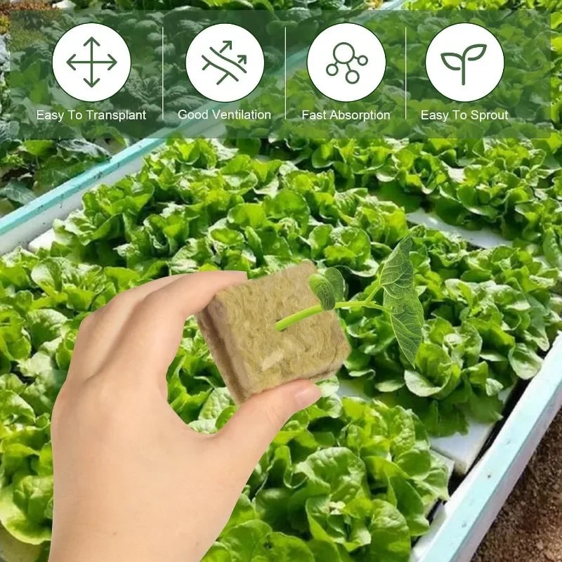 Seedling Grow Cubes — Stonewool Soilless Hydroponic Blocks for Vegetable & Plant Growing