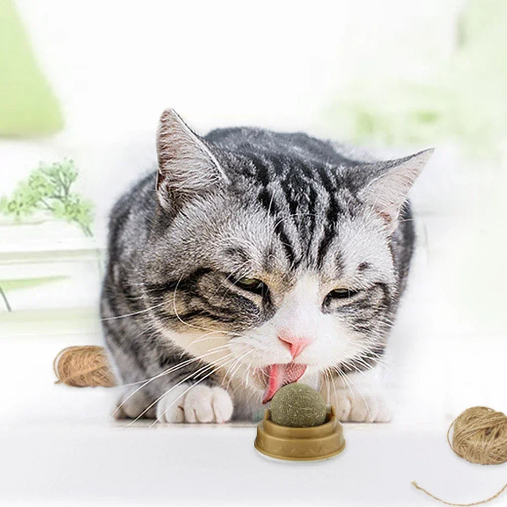Pet Catnip Toys – Edible Catnip Balls for Healthy Teeth and Stomach, 1-10 Pack, Safe and Fun Chasing Game for Cats
