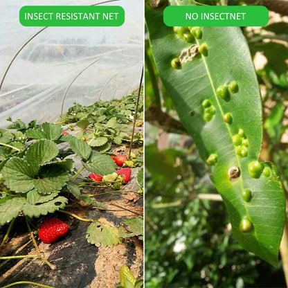 Garden Insect Protection Net – 60 Mesh Pest Control Cover for Plants, Vegetables, Fruits, Flowers & Greenhouse, Anti-Bird Protective Net