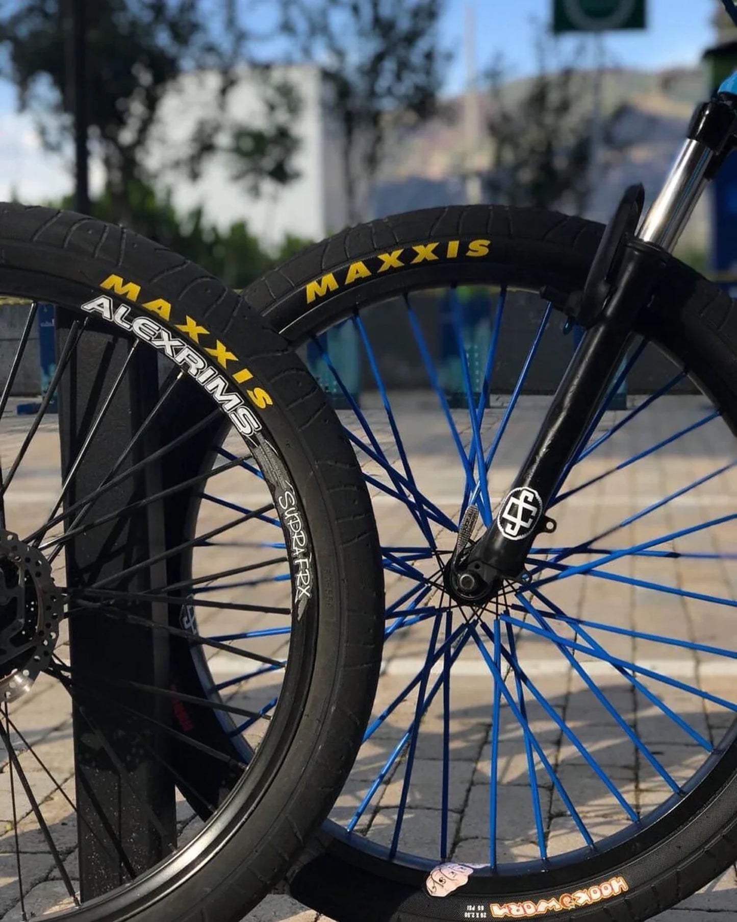 MAXXIS Hookworm BMX Bike Tire – 26x2.5 Wire Bead Clincher for Street, Park & Flatland